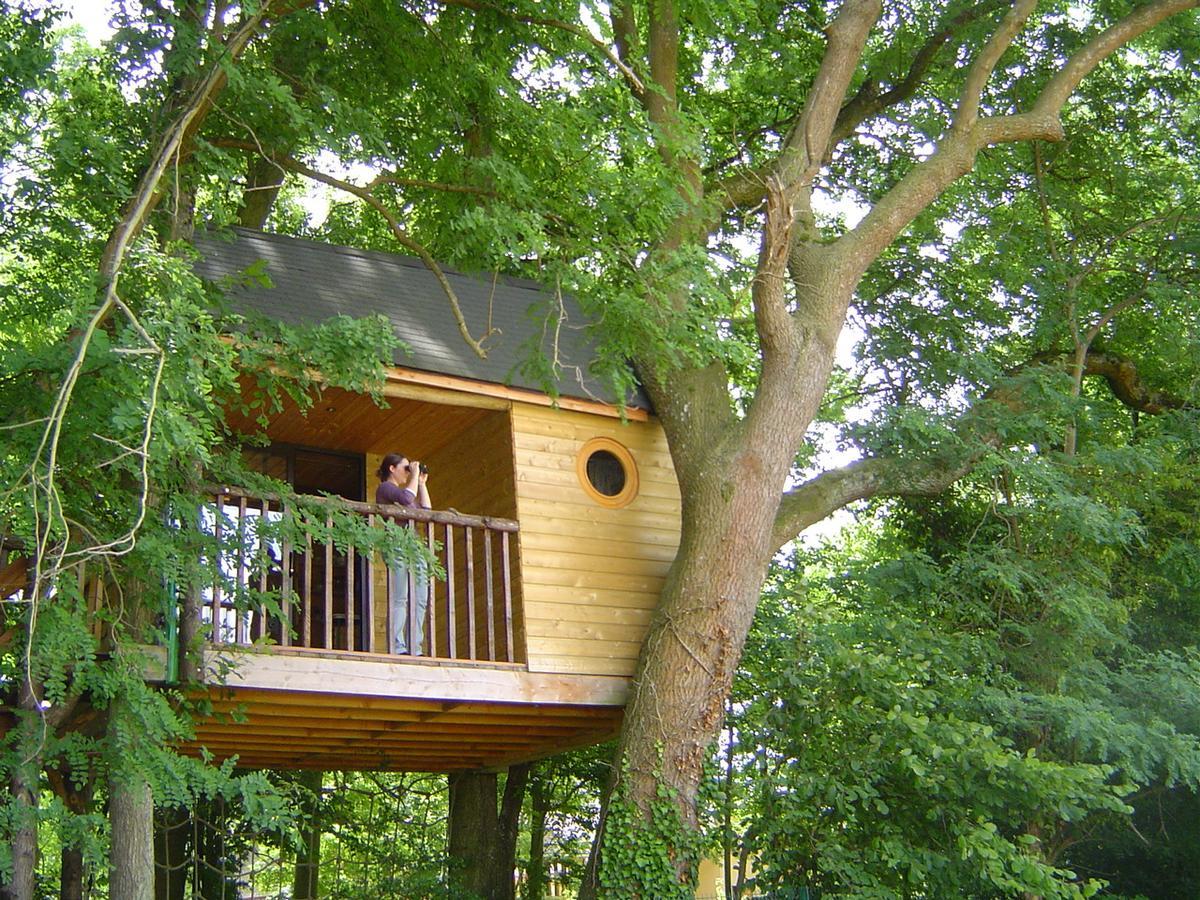 La Cabane Aux Secrets - Au Milieu De Nulle Part Outines Eksteriør billede